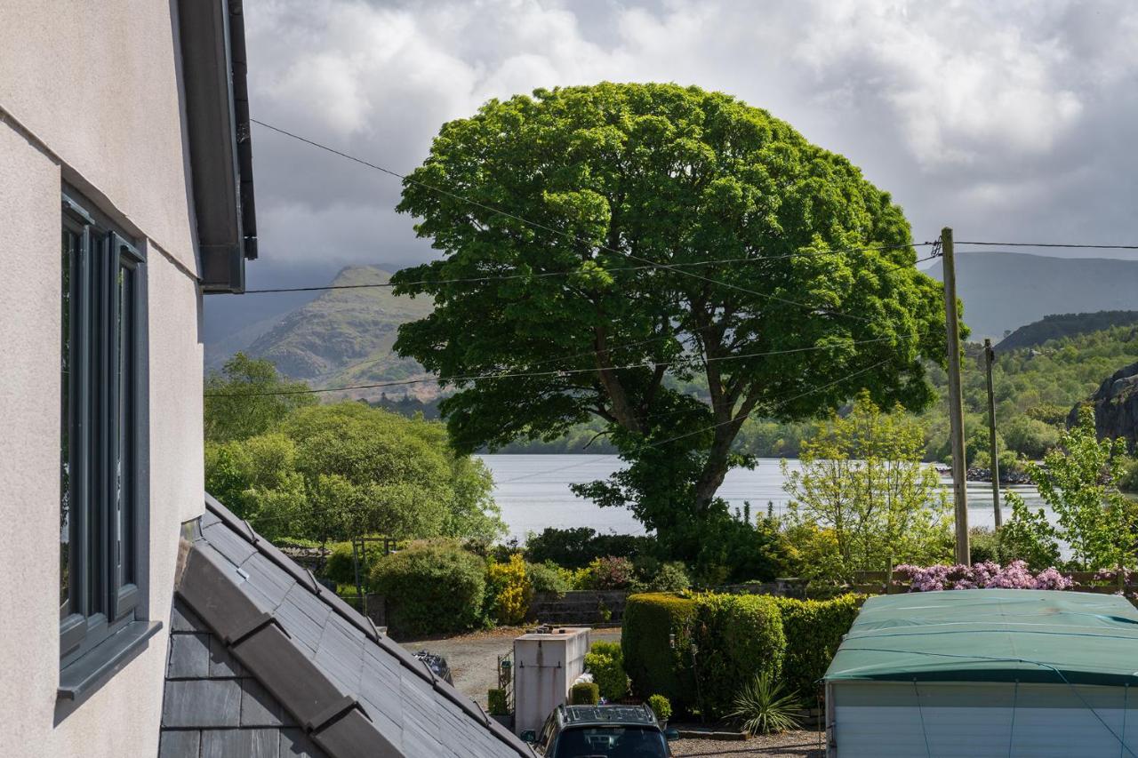 Arlyn, Padarn Lake Viewpoint In Snowdonia Caernarfon Dış mekan fotoğraf
